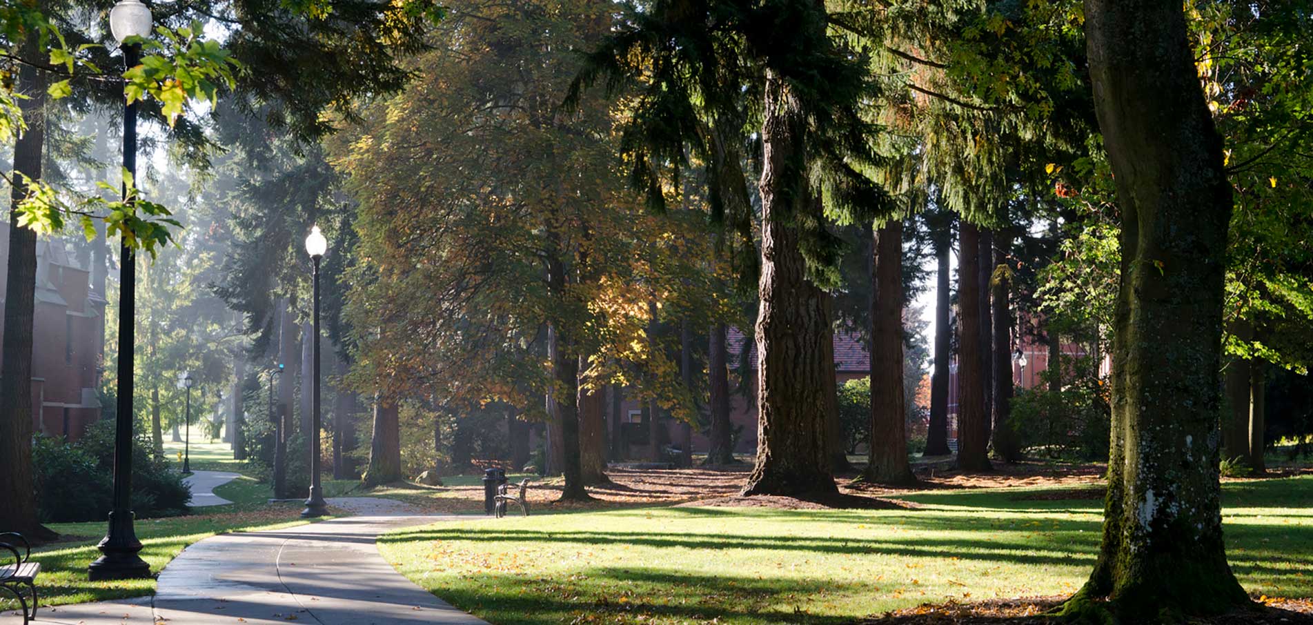 tall trees, campus